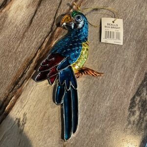 Bealls Vibrant Parrot 8 inch live the Florida lifestyle